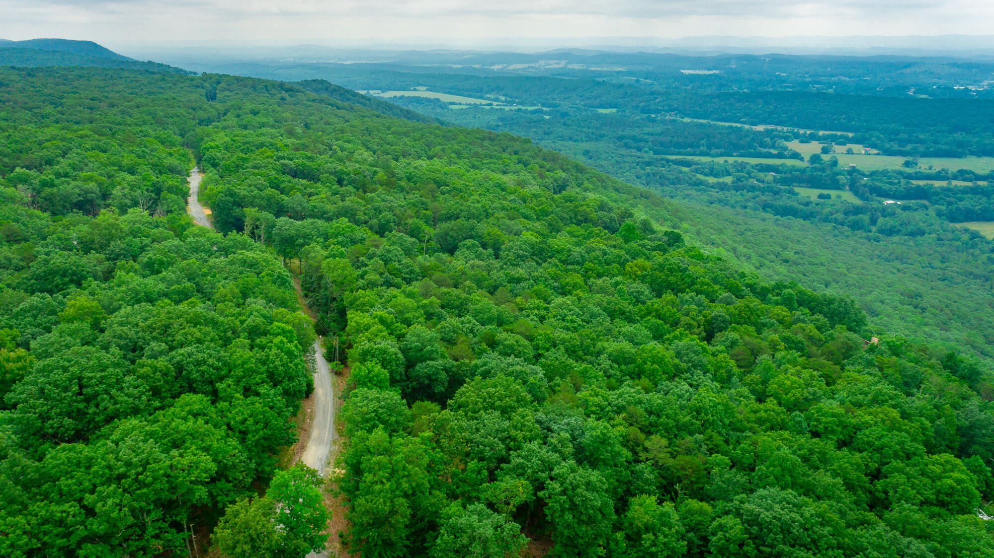 237 County Road 844, Mentone, Alabama image 4