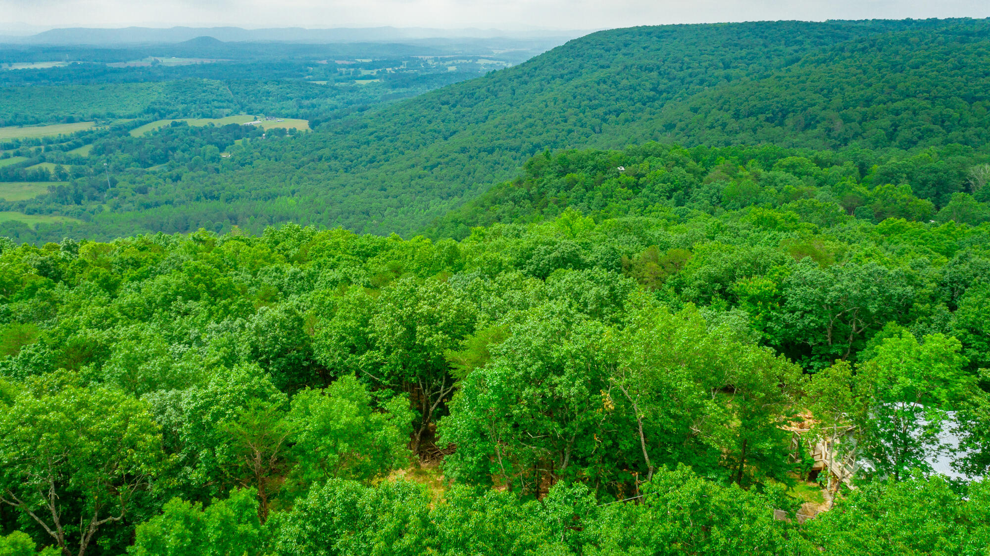 237 County Road 844, Mentone, Alabama image 15