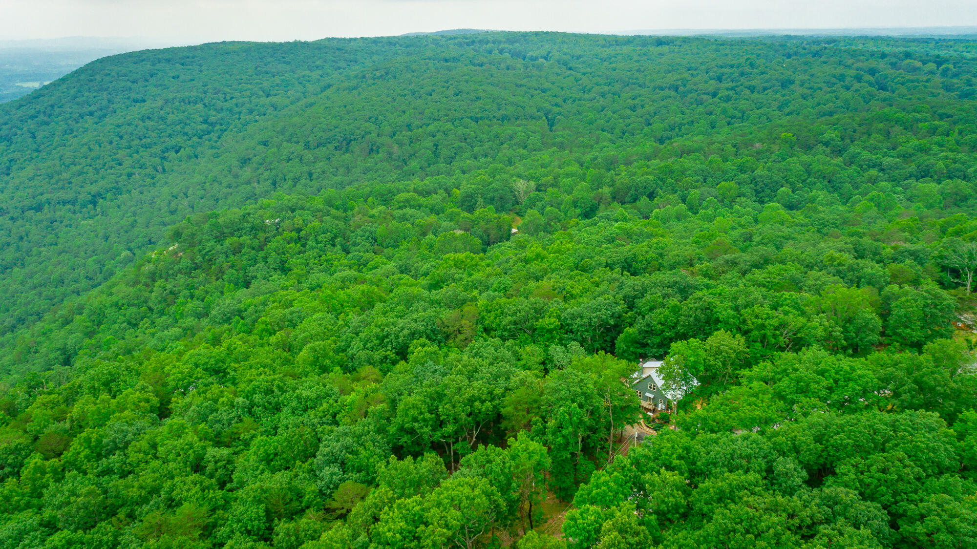 237 County Road 844, Mentone, Alabama image 16