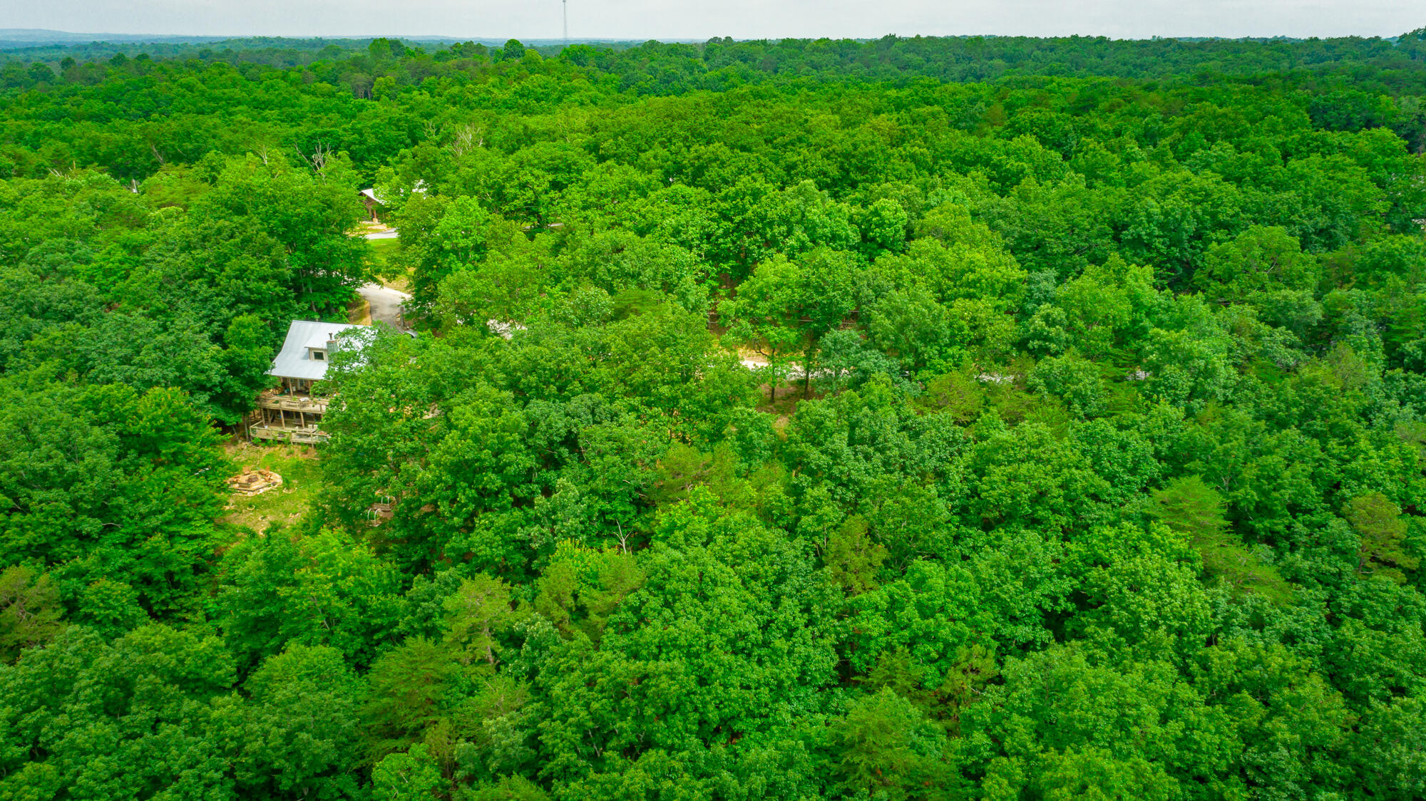 237 County Road 844, Mentone, Alabama image 12