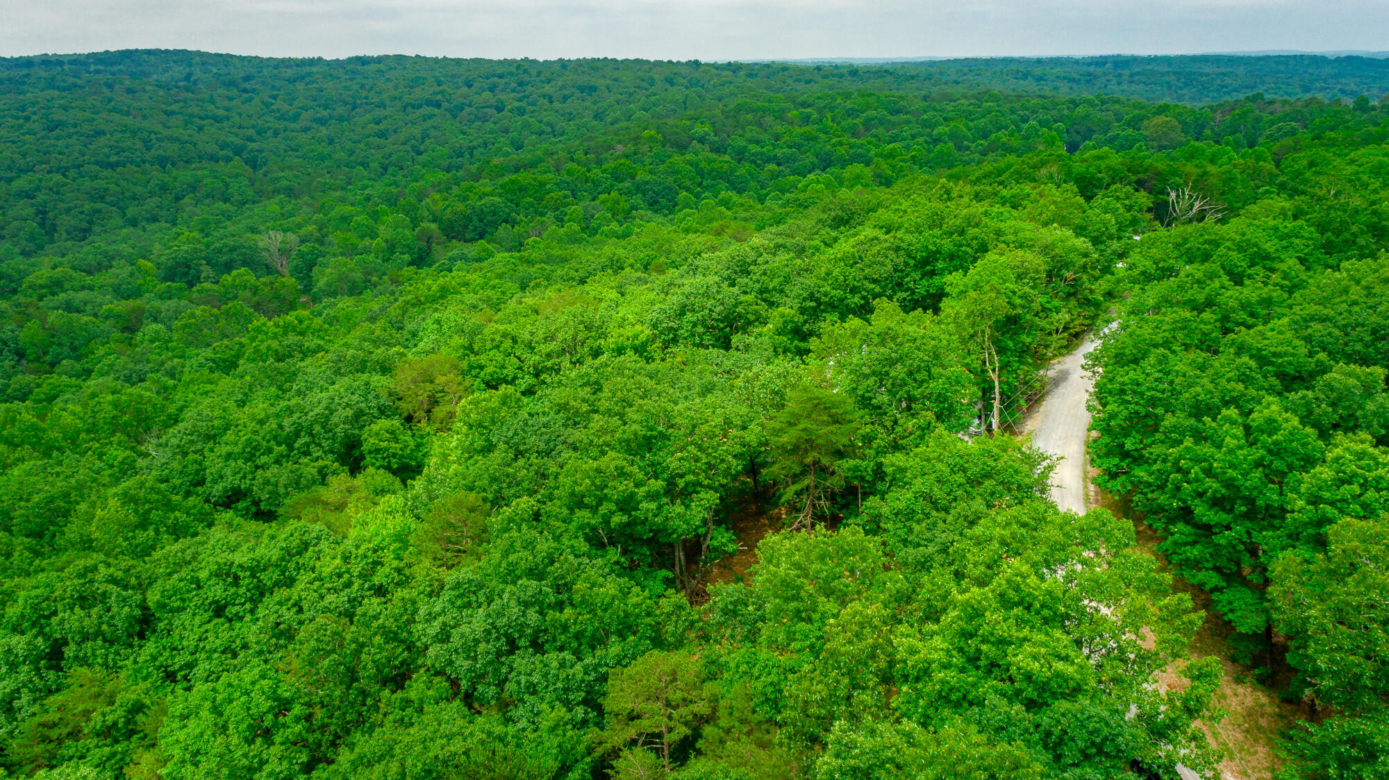 237 County Road 844, Mentone, Alabama image 14