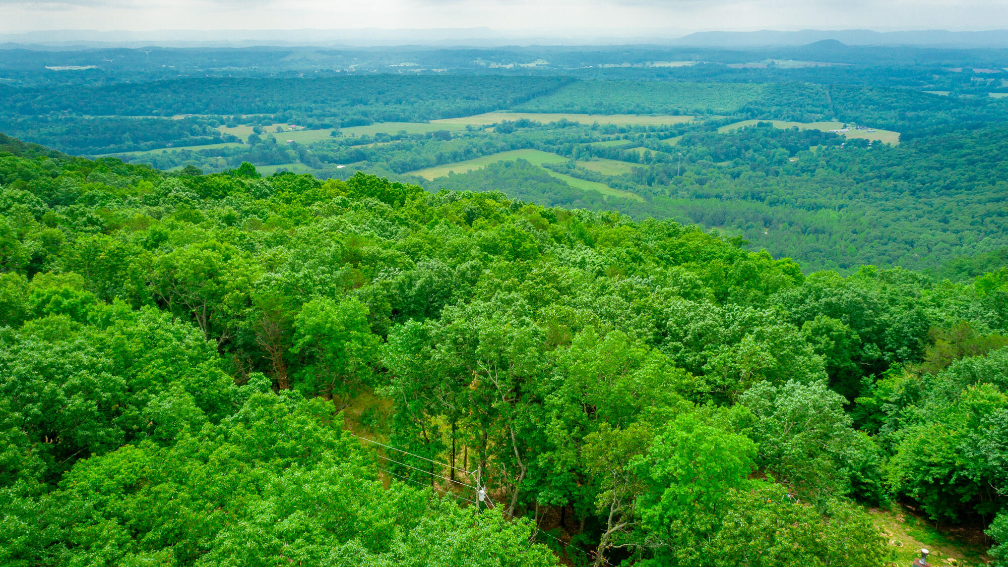237 County Road 844, Mentone, Alabama image 10