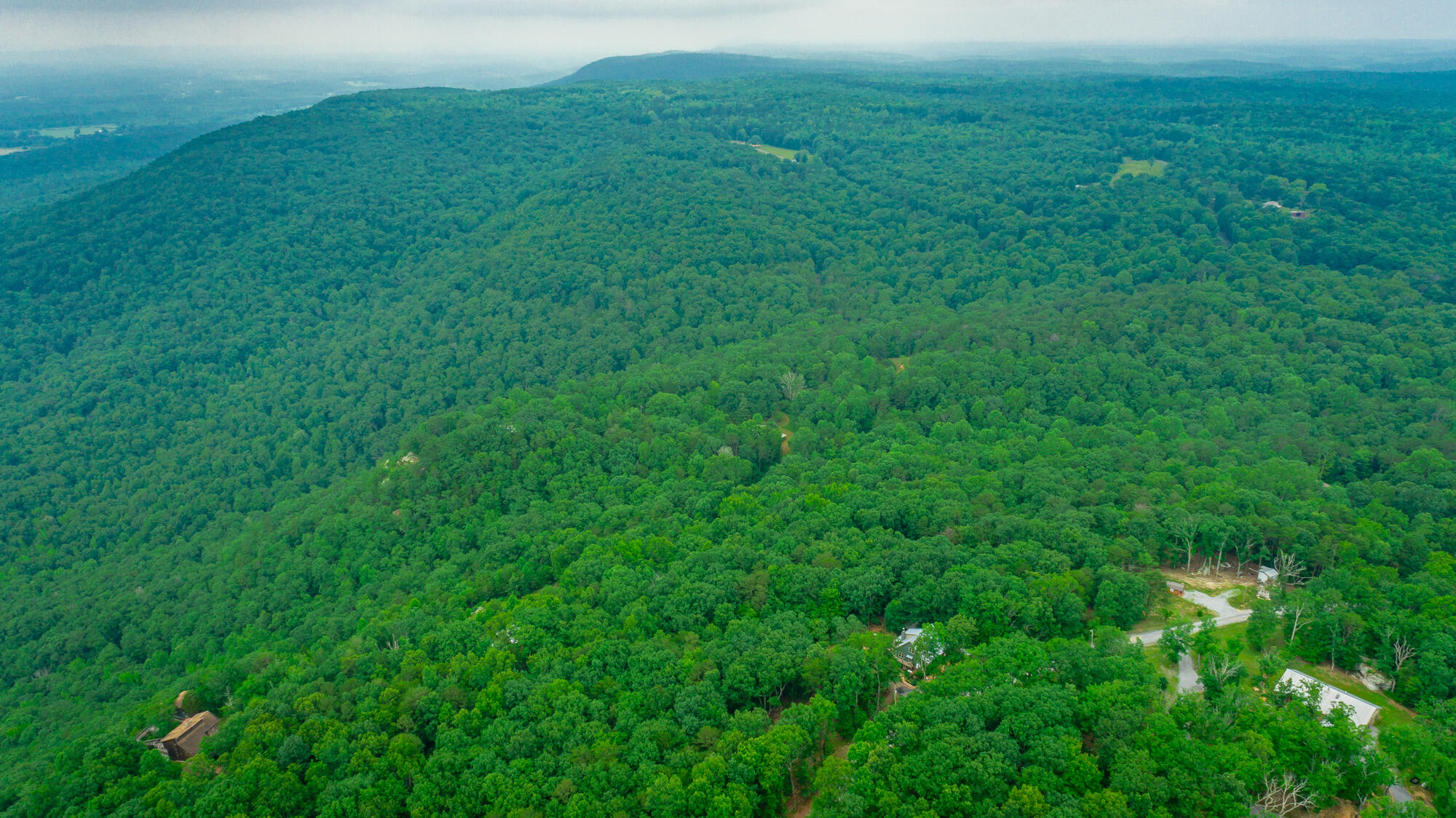 237 County Road 844, Mentone, Alabama image 21
