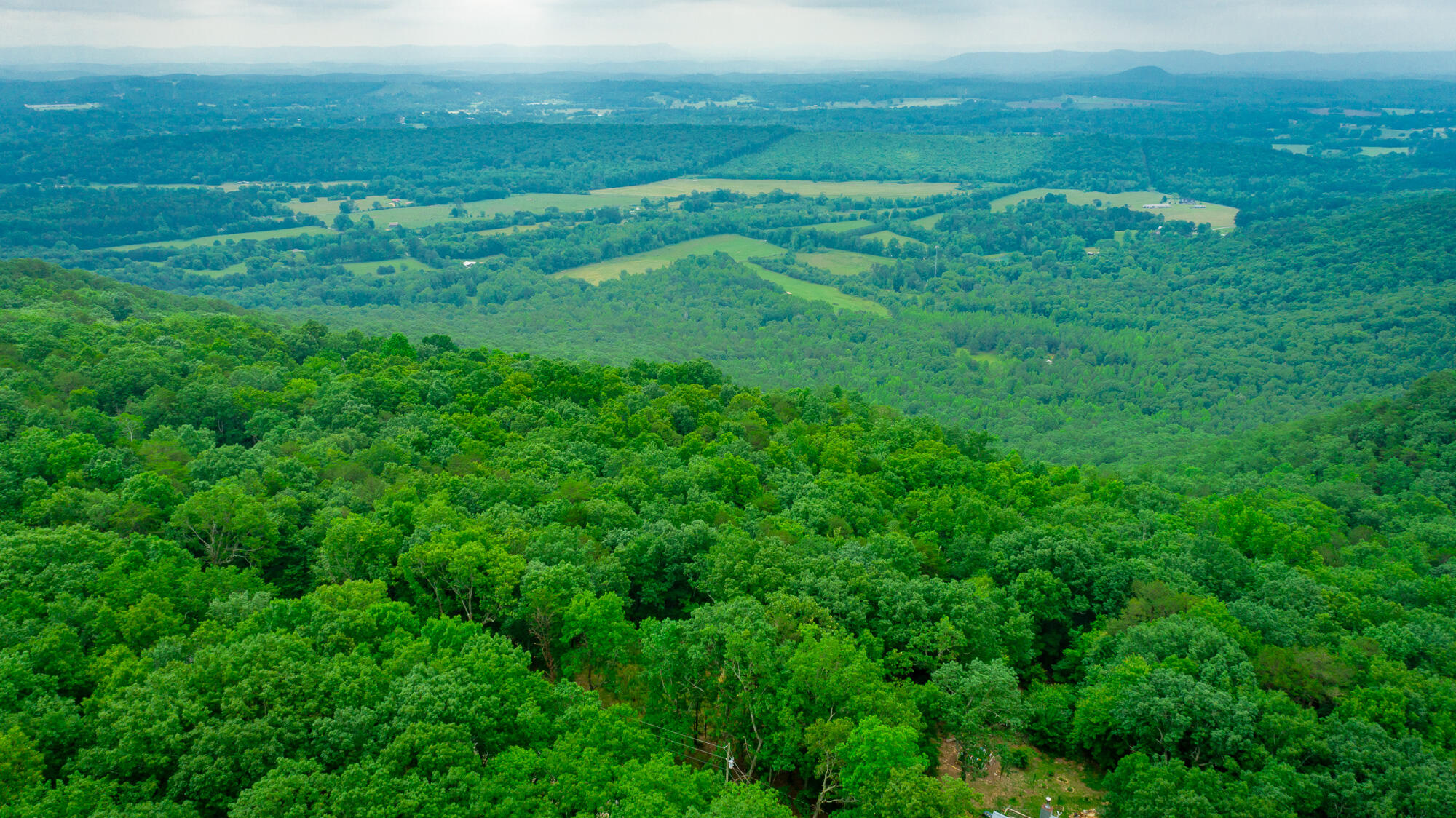 237 County Road 844, Mentone, Alabama image 3