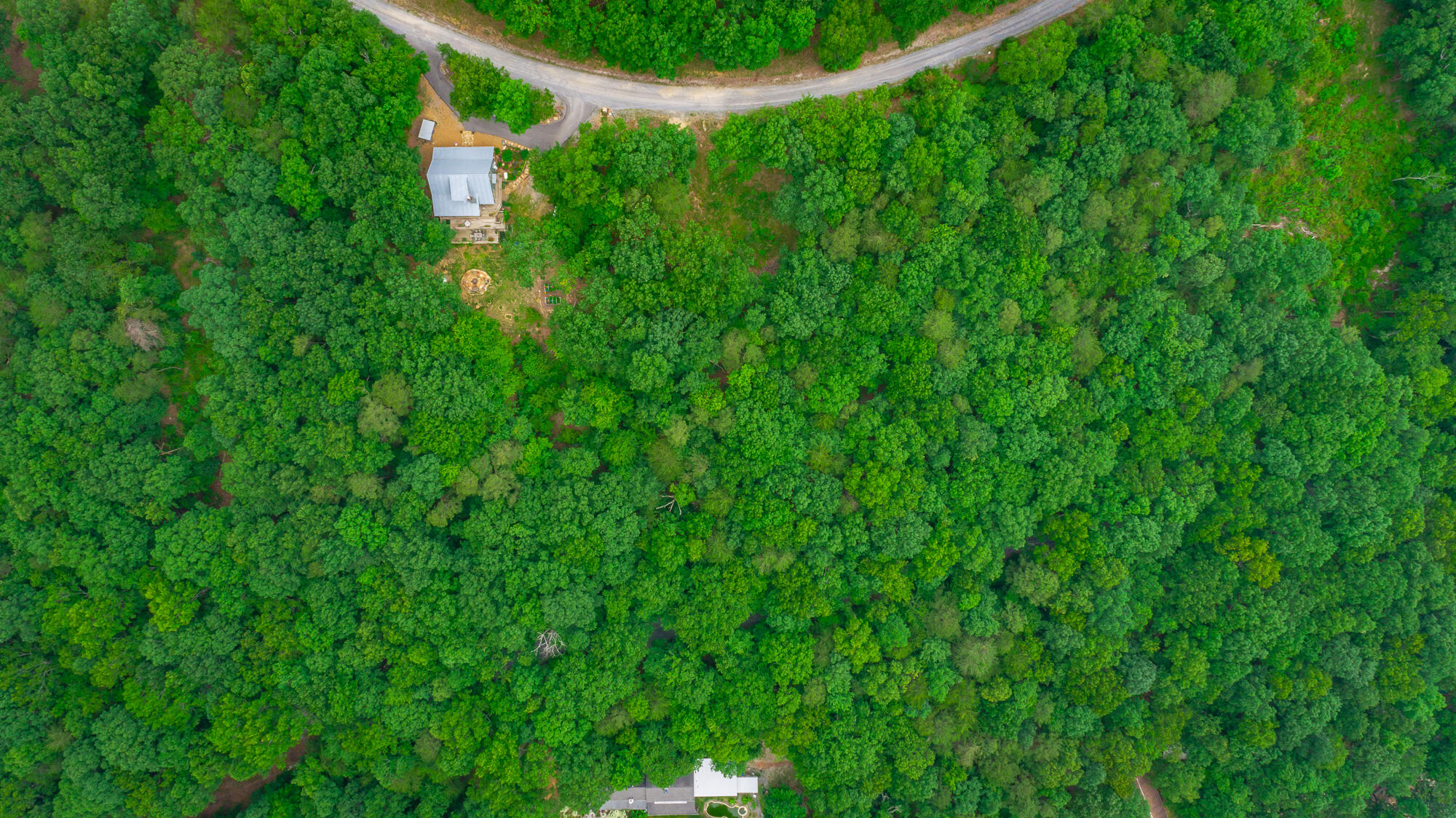 237 County Road 844, Mentone, Alabama image 9