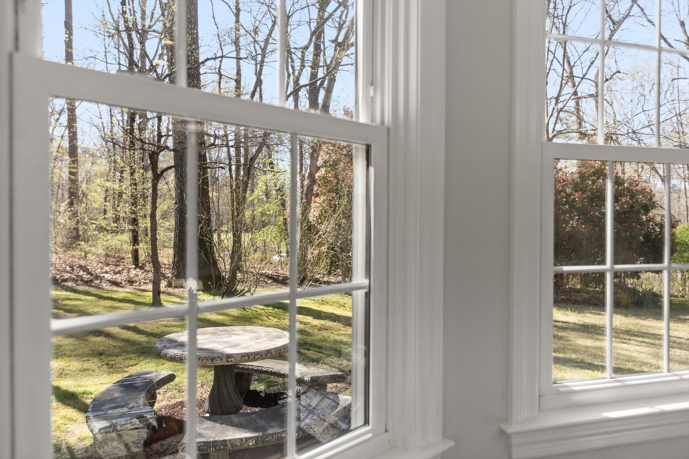 9023 Finney Point Drive, Ooltewah, Tennessee image 8