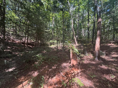 Vacant Land For Sale - 00 Fort Trace Drive<br/> Lookout Mountain, GA 30750