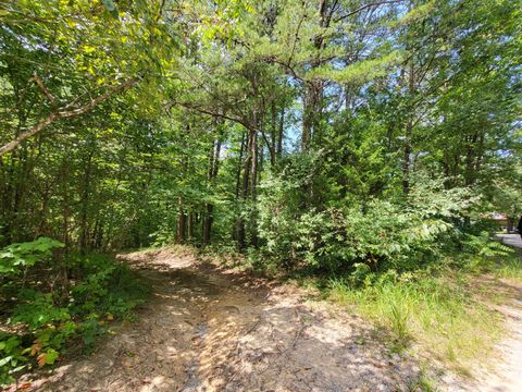 Photo of 0 Bowater Road, Pikeville, TN 37367 (MLS # 1517780)
