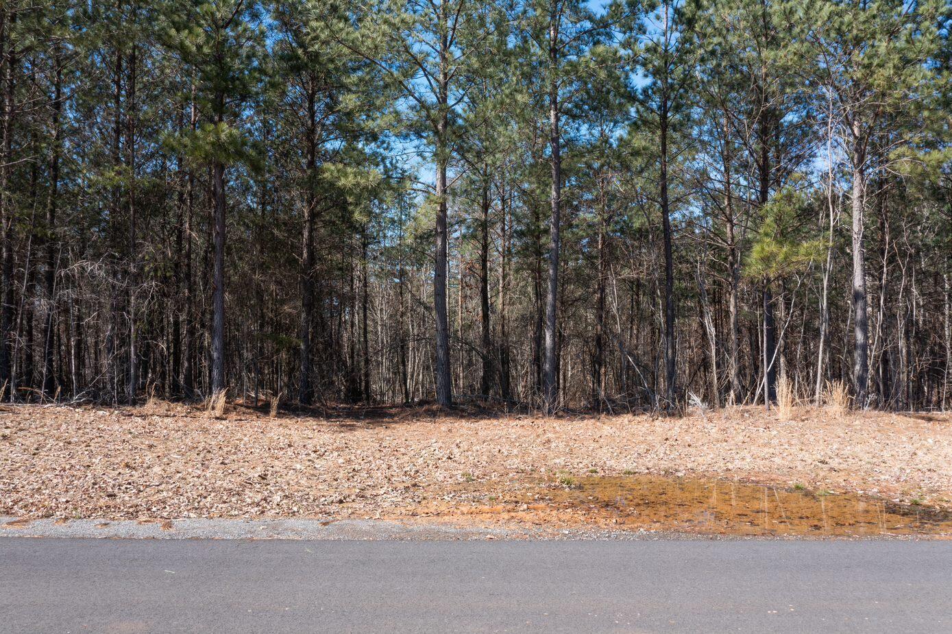 Crockett Poine #J179, Jasper, Tennessee image 4