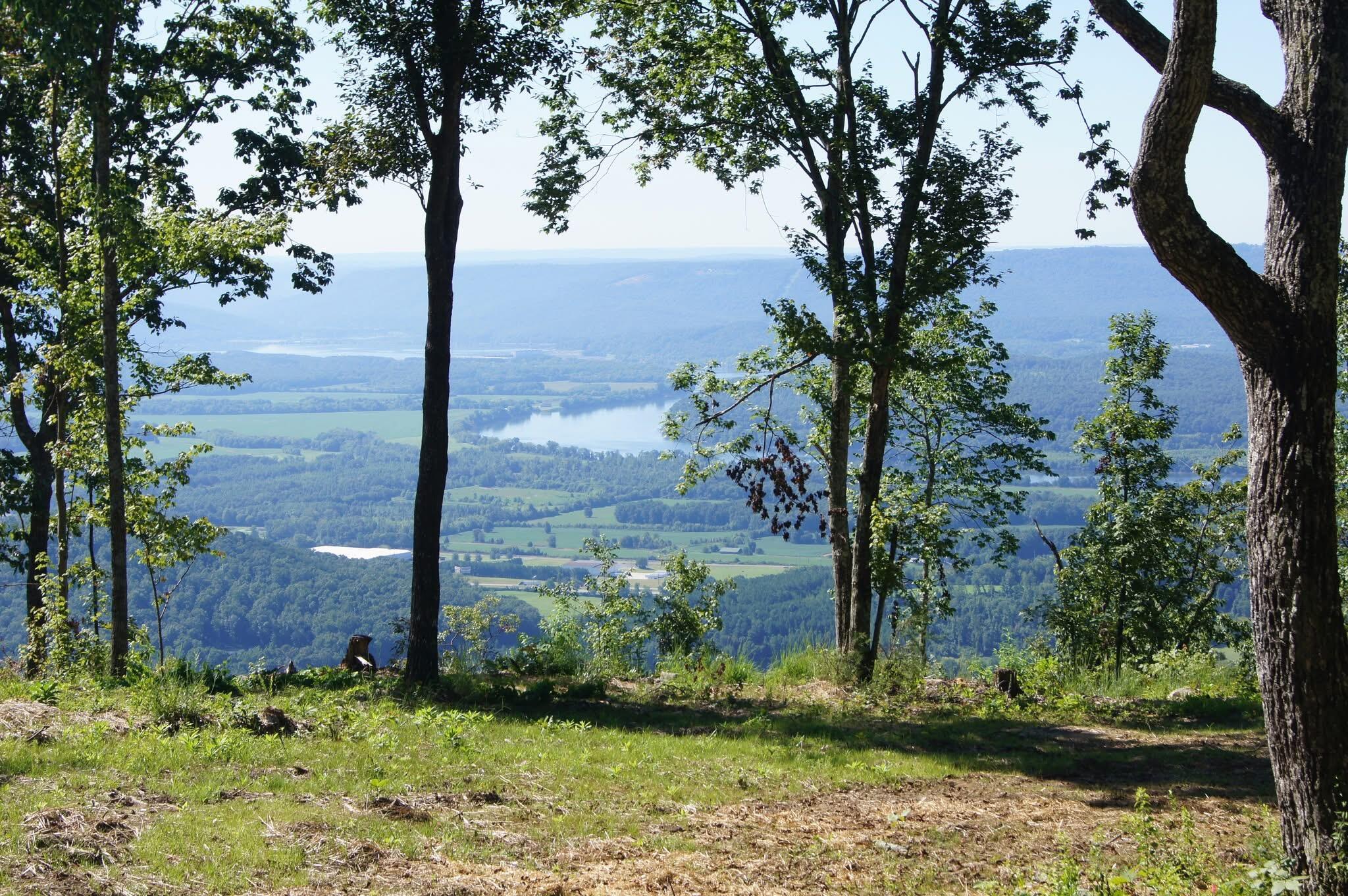 Crockett Poine #J179, Jasper, Tennessee image 1