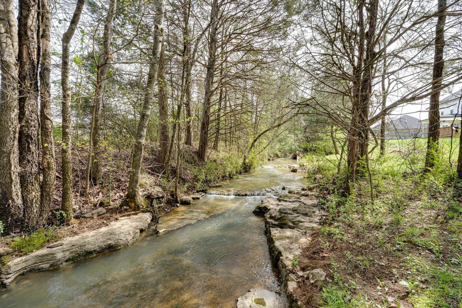 8433 Cherrybark Lane, Ooltewah, Tennessee image 33