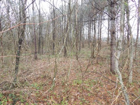 Tiny photo for 028 Rockfort Road, Pikeville, TN 37367 (MLS # 1513203)