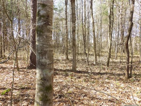 Tiny photo for 028 Rockfort Road, Pikeville, TN 37367 (MLS # 1513203)