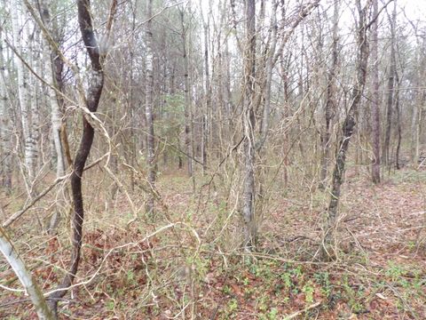 Tiny photo for 028 Rockfort Road, Pikeville, TN 37367 (MLS # 1513203)