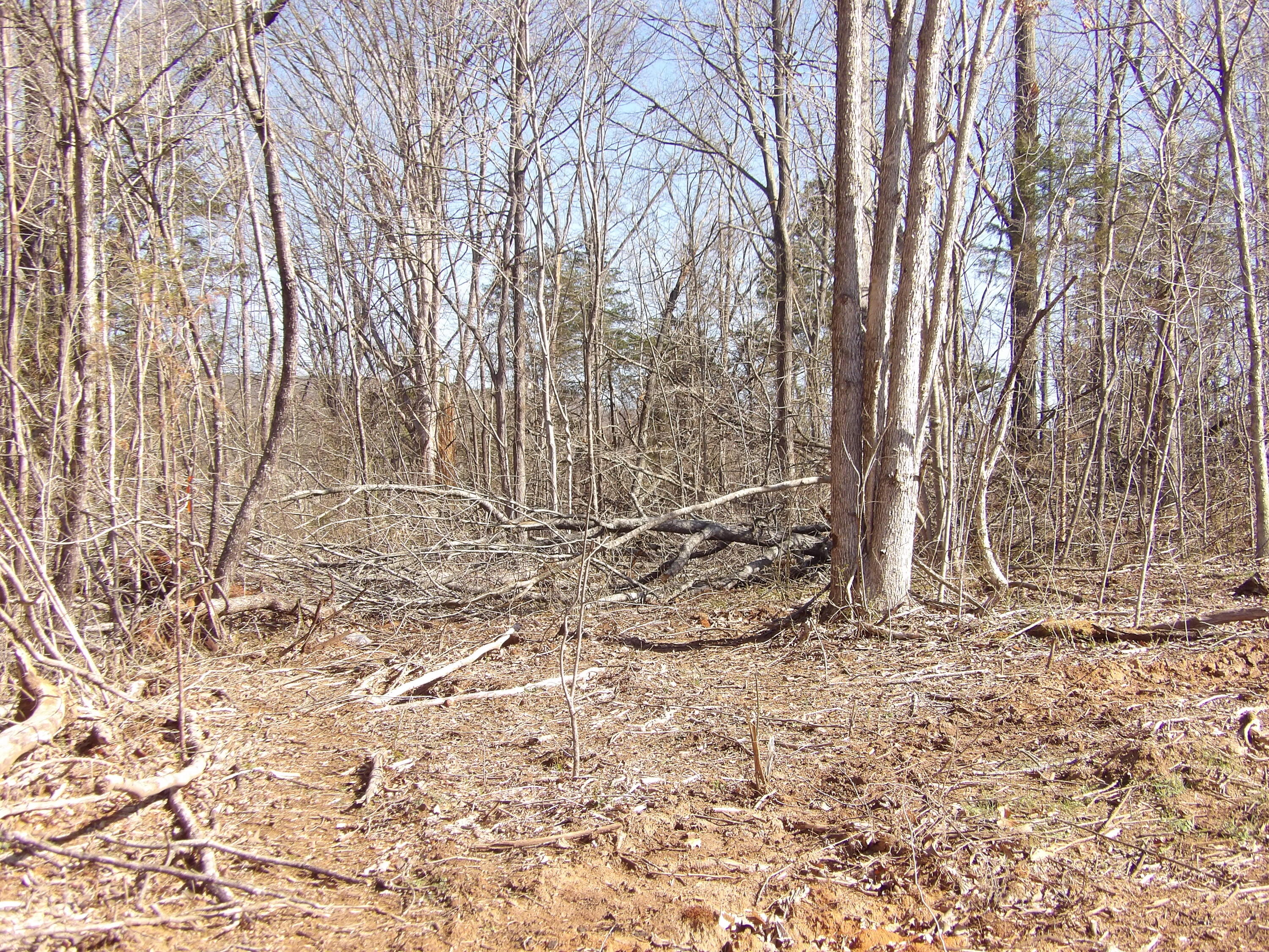 028 Rockfort Road, Pikeville, Tennessee image 14