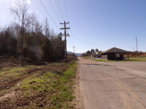 Tiny photo for 028 Rockfort Road, Pikeville, TN 37367 (MLS # 1513203)