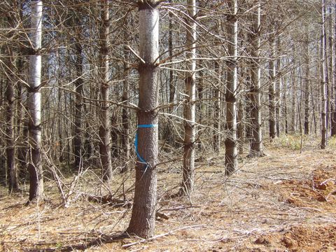 Tiny photo for 028 Rockfort Road, Pikeville, TN 37367 (MLS # 1513203)