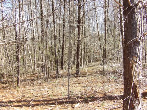 Tiny photo for 028 Rockfort Road, Pikeville, TN 37367 (MLS # 1513203)
