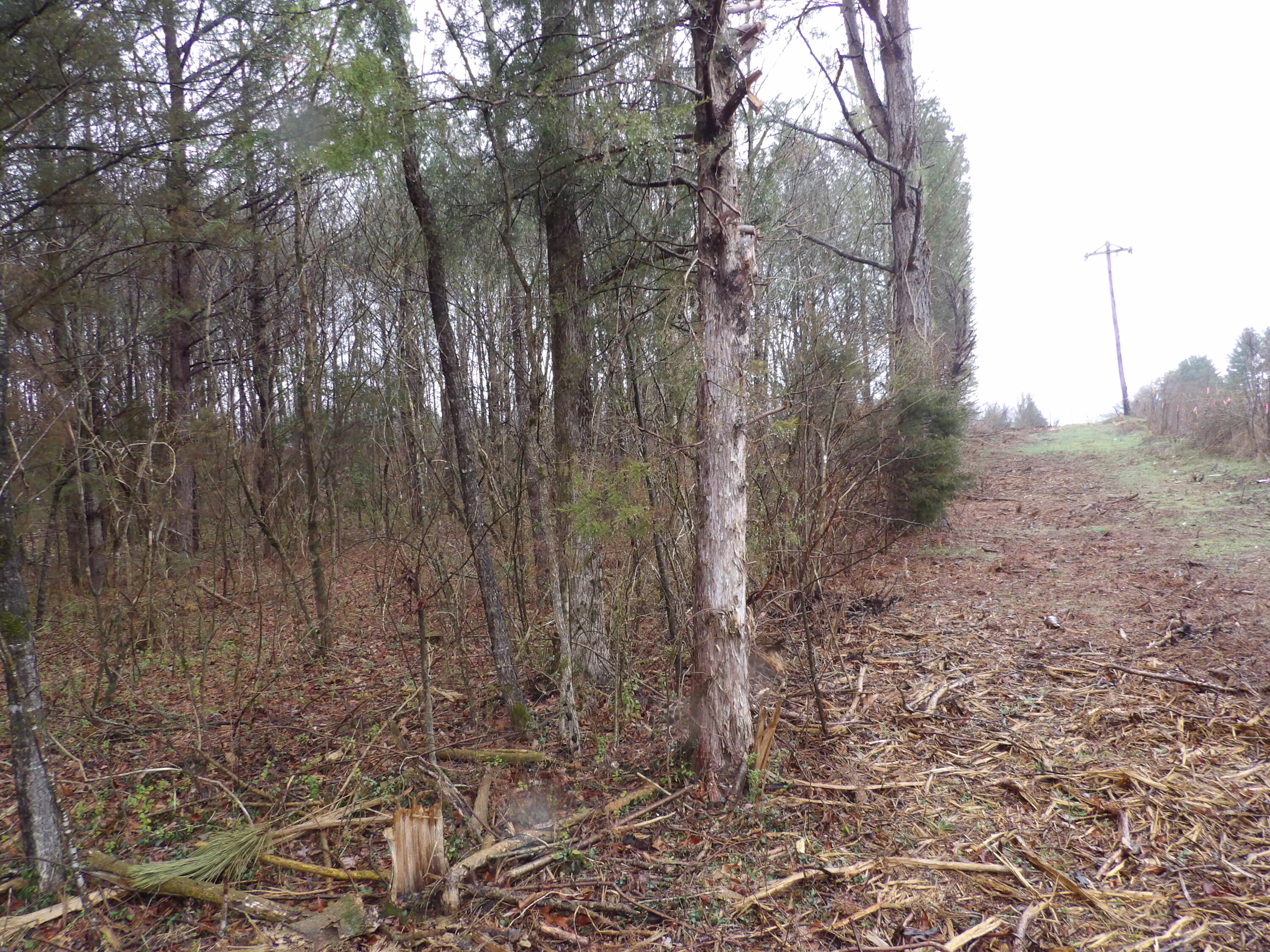 028 Rockfort Road, Pikeville, Tennessee image 6