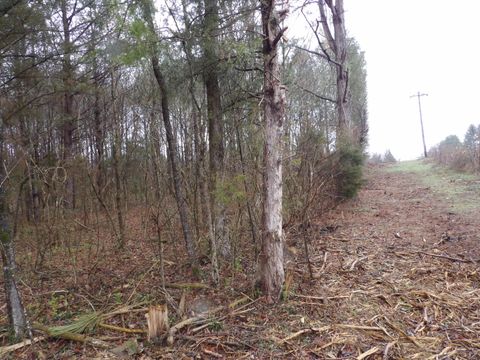 Tiny photo for 028 Rockfort Road, Pikeville, TN 37367 (MLS # 1513203)