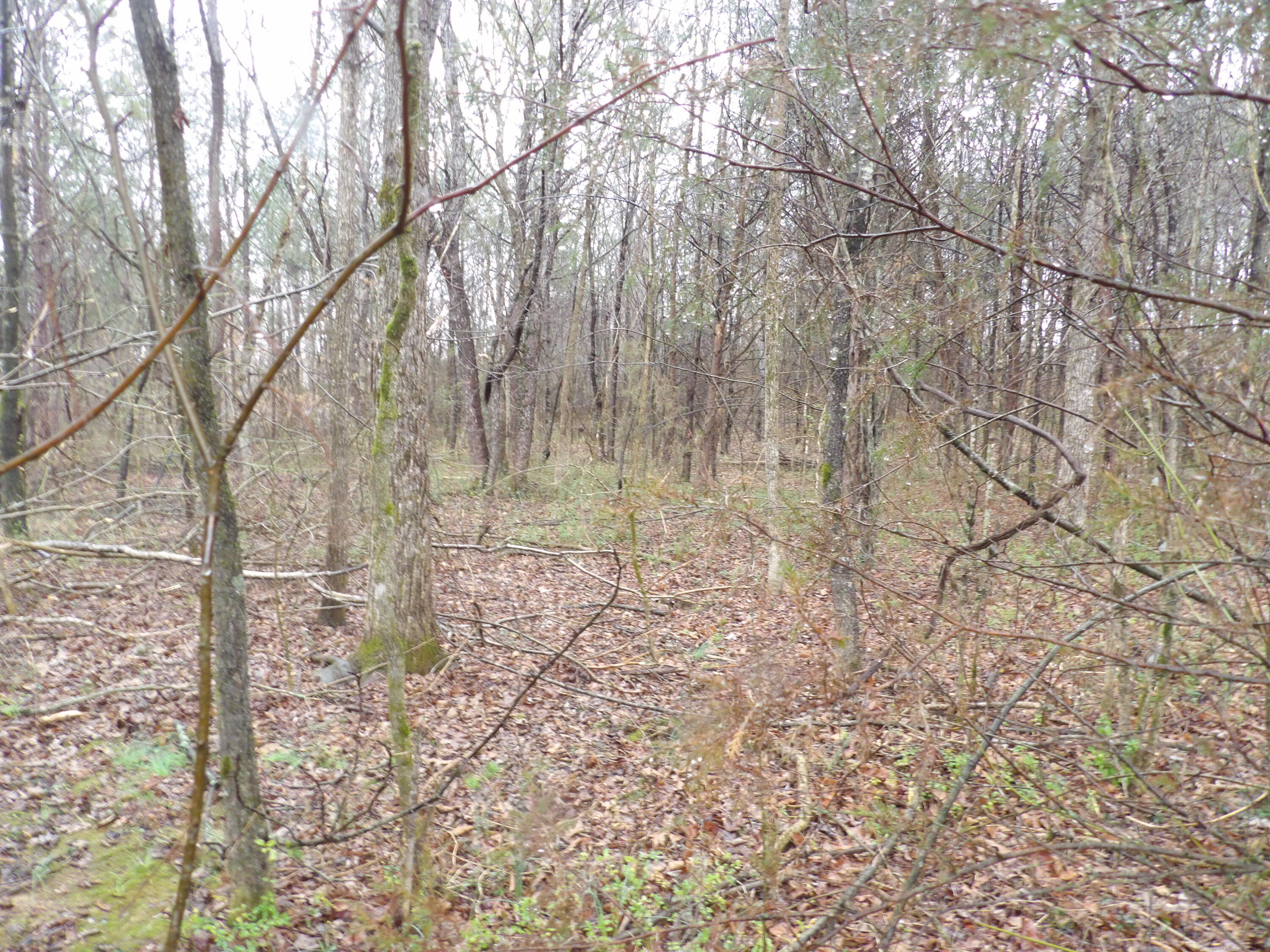 028 Rockfort Road, Pikeville, Tennessee image 4
