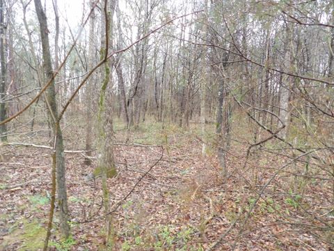 Tiny photo for 028 Rockfort Road, Pikeville, TN 37367 (MLS # 1513203)