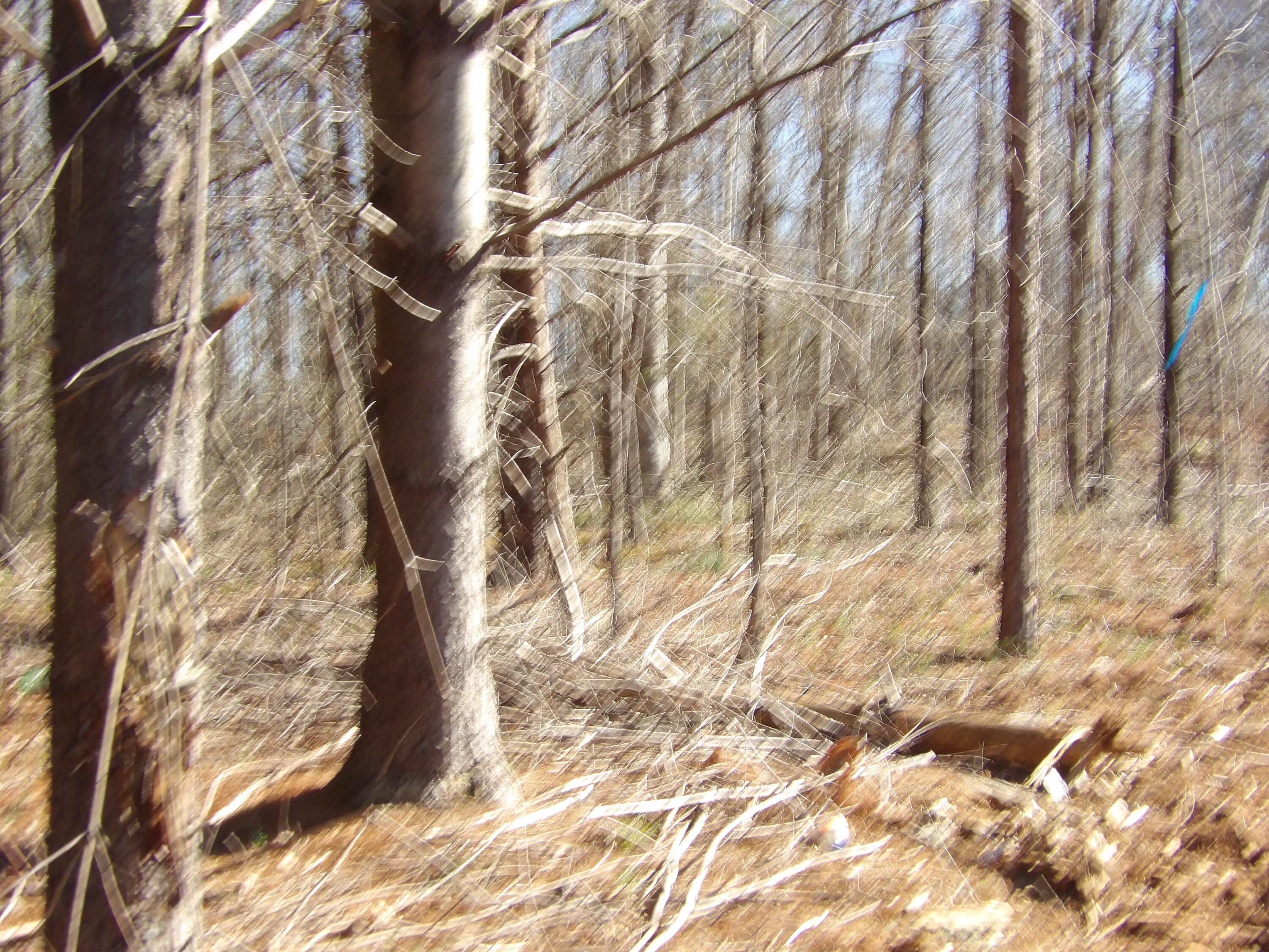 028 Rockfort Road, Pikeville, Tennessee image 13