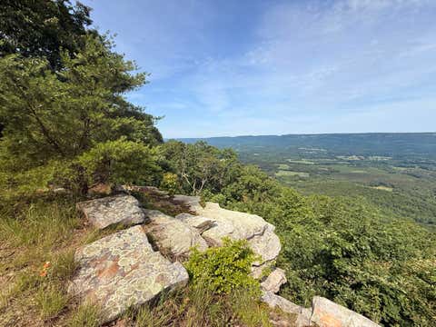 Homes For Sale - Tatum Gulf Road<br/> Menlo, GA 30731