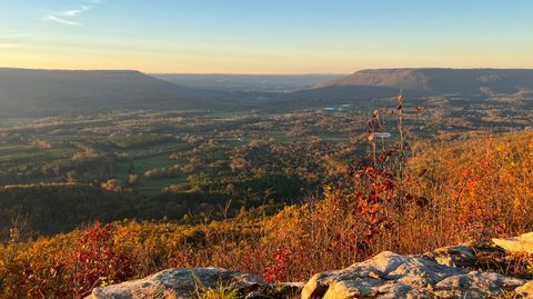 Photo of 0 Tatum Gulf Road, Menlo, GA 30731 (MLS # 1524943) Photo of 0 Tatum Gulf Road, Menlo, GA 30731 (MLS # 1524943)