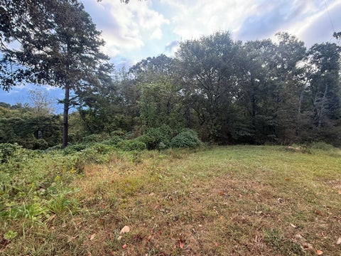 Vacant Land For Sale - 11th Street<br/> Bridgeport, AL 35740