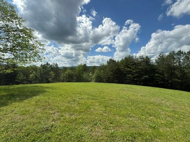 10104 Purple Martin Lane, Soddy Daisy, Tennessee image 3