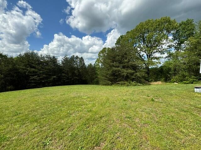10104 Purple Martin Lane, Soddy Daisy, Tennessee image 36