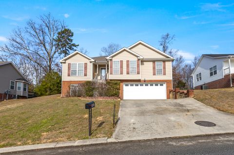 Photo of 1867 Coffee Tree Lane, Soddy Daisy, TN 37379 (MLS # 1526243)