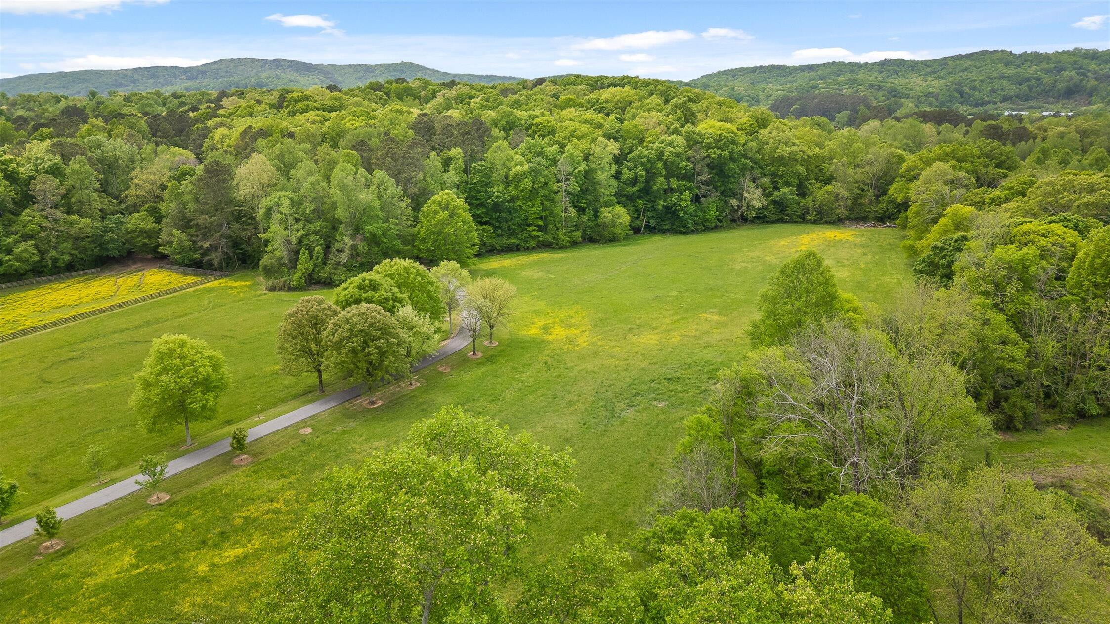 Tunnel Hill, Georgia 30755, United States, 5 Bedrooms Bedrooms, ,5 BathroomsBathrooms,Residential,Active,113847