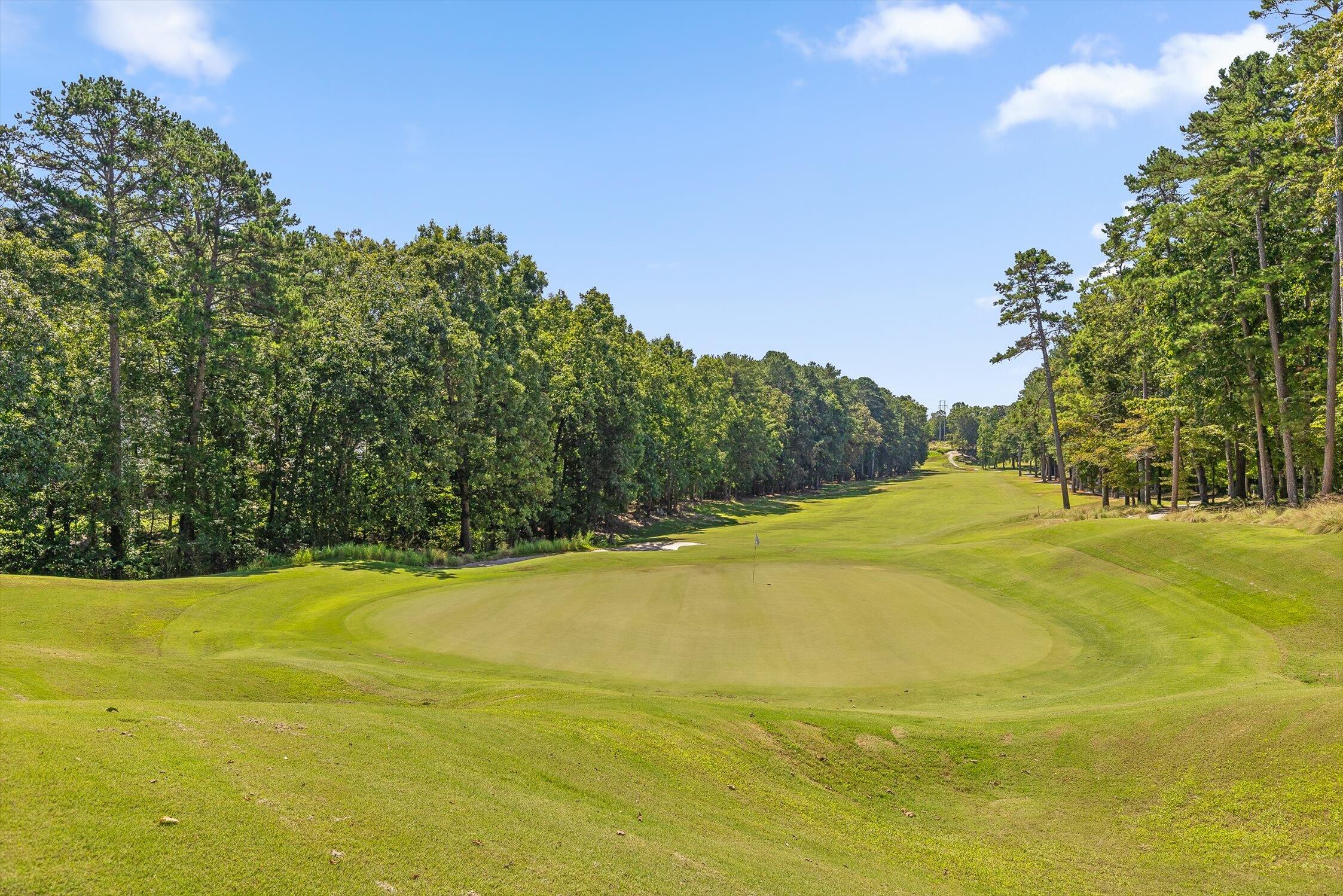 Ringgold, Georgia 30736, United States, 4 Bedrooms Bedrooms, ,3 BathroomsBathrooms,Residential,Active,201977