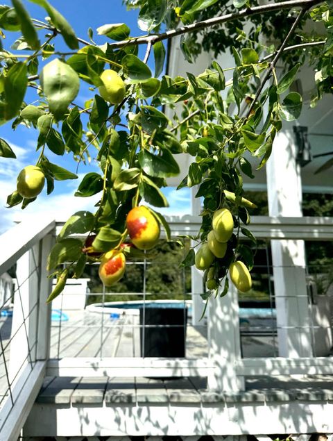 Tiny photo for 13574 Braxton Lane, Birchwood, TN 37308 (MLS # 1529032)