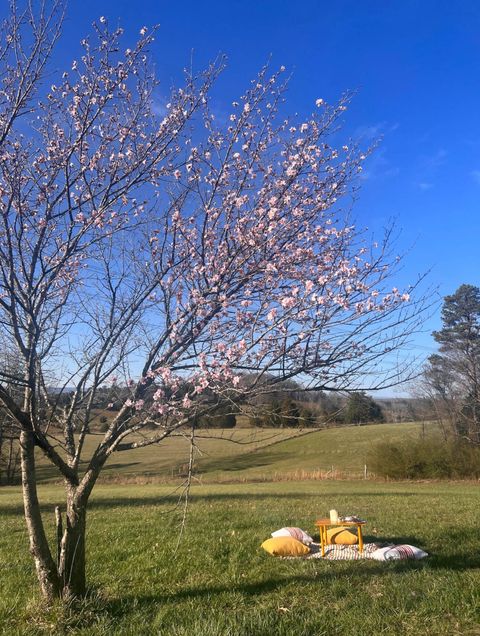 Tiny photo for 13574 Braxton Lane, Birchwood, TN 37308 (MLS # 1529032)