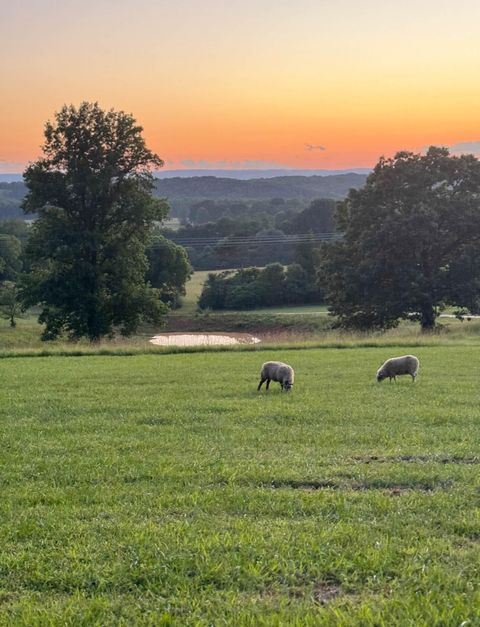 Tiny photo for 13574 Braxton Lane, Birchwood, TN 37308 (MLS # 1529032)