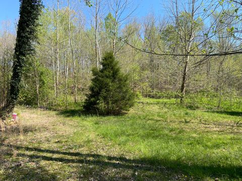 Photo of 2205 Lower Cove Loop, Dayton, TN 37321 (MLS # 1532110)