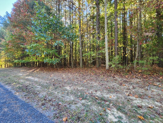 0 FOREST VIEW DRIVE, SPENCER, TN 38585 - Image 3aecad24f4e41063c7acfa5dd4be7156/2383807545