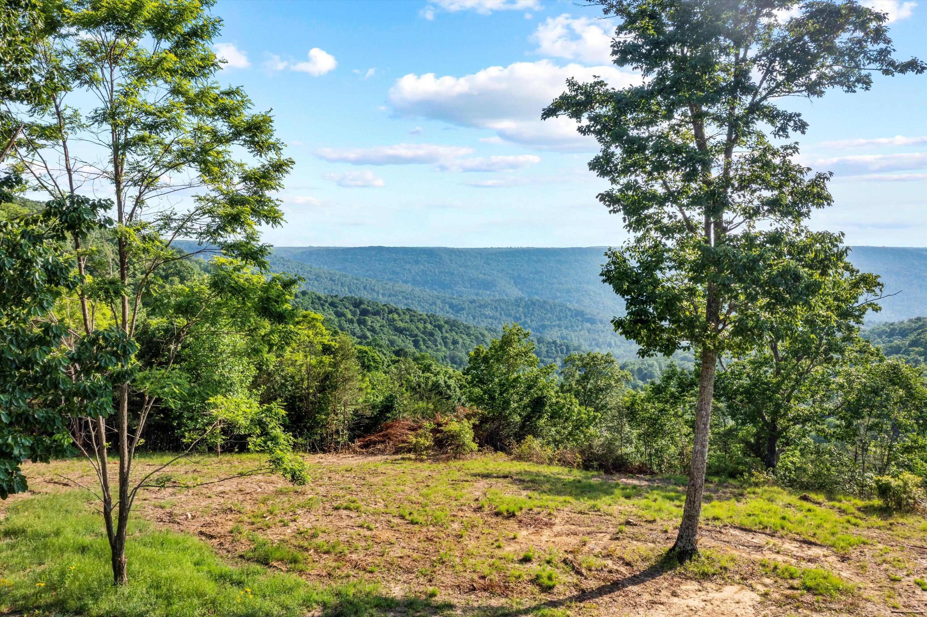 Coyote Trail #624, Spencer, Tennessee image 3