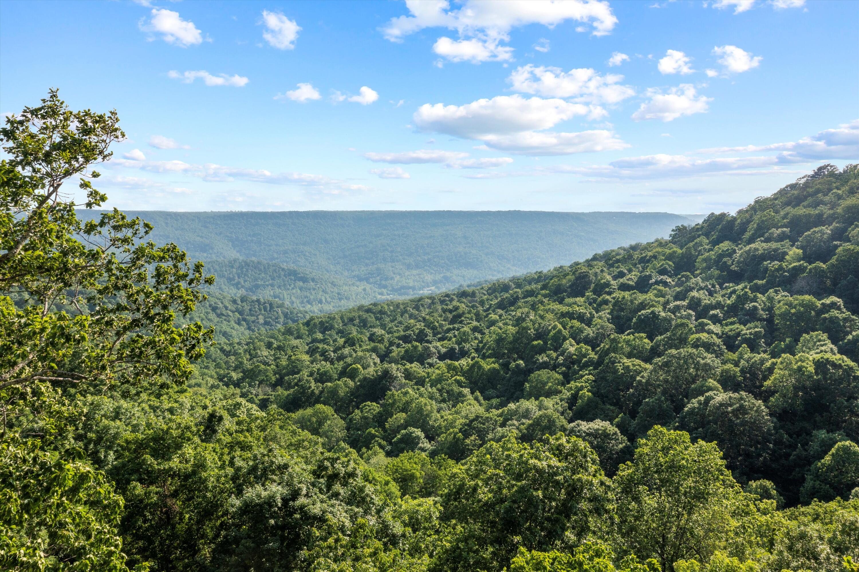 Coyote Trail #624, Spencer, Tennessee image 18