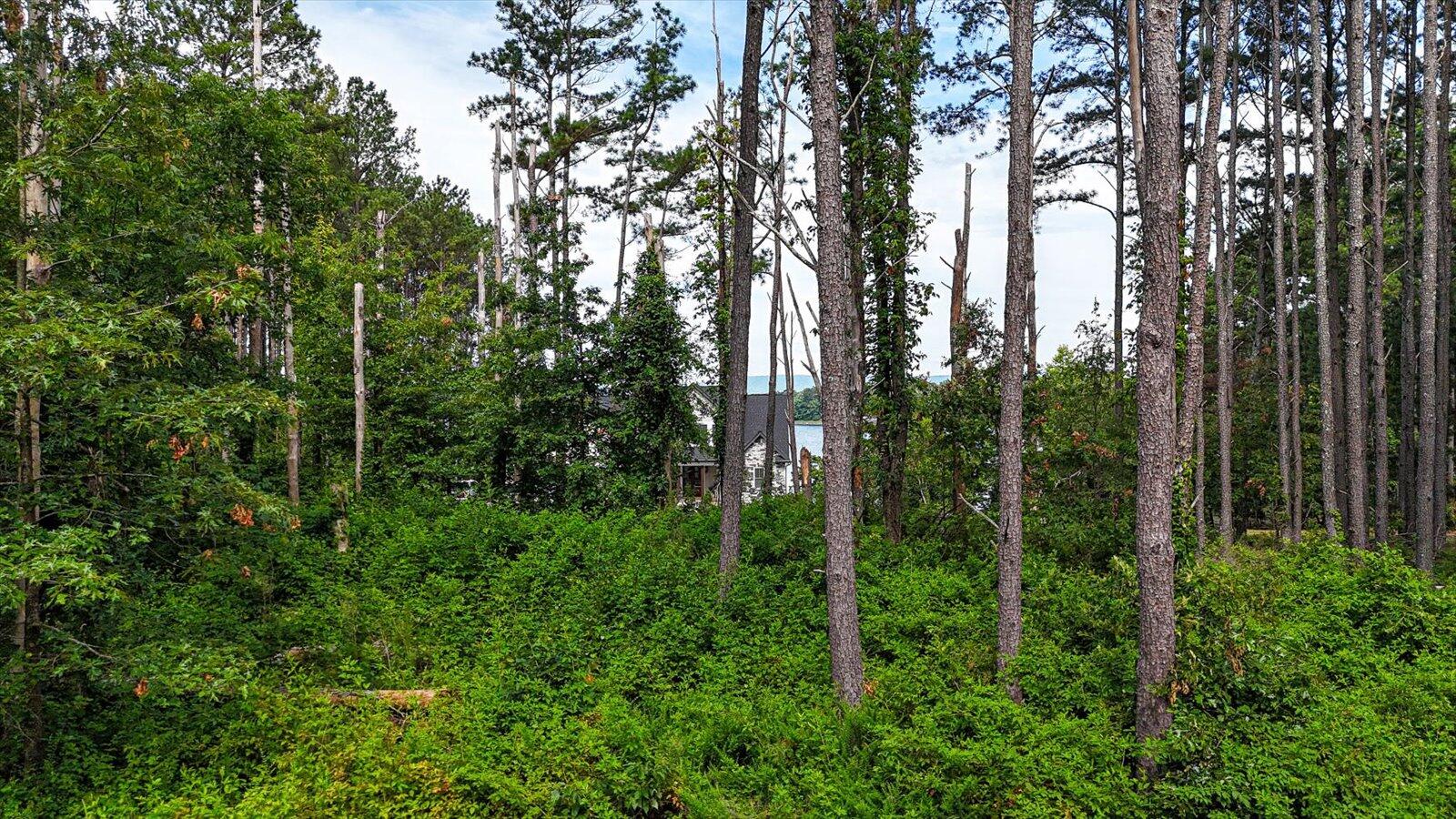 Castaway Lane #82,83.84, Jasper, Tennessee image 14