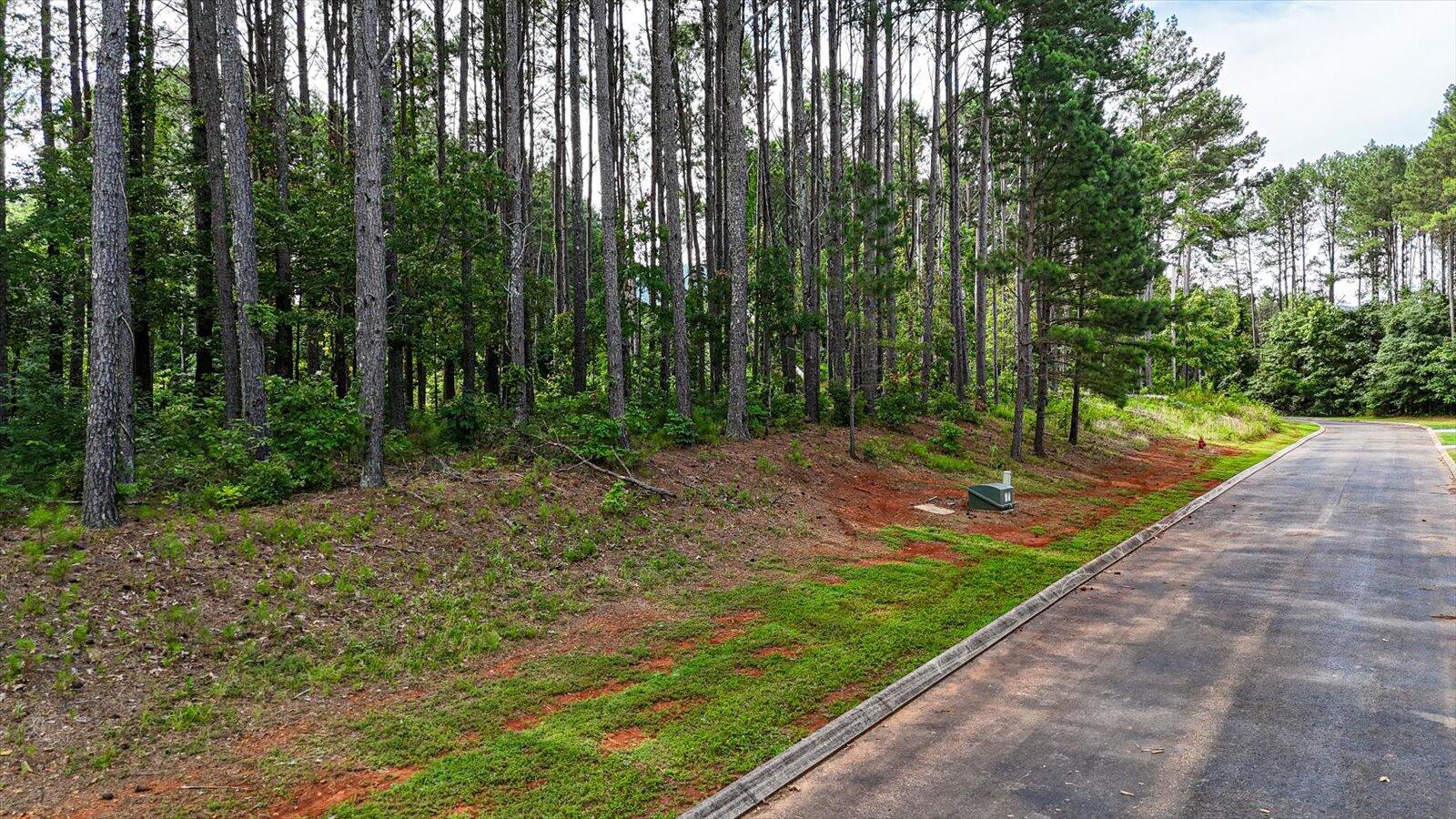Castaway Lane #82,83.84, Jasper, Tennessee image 21