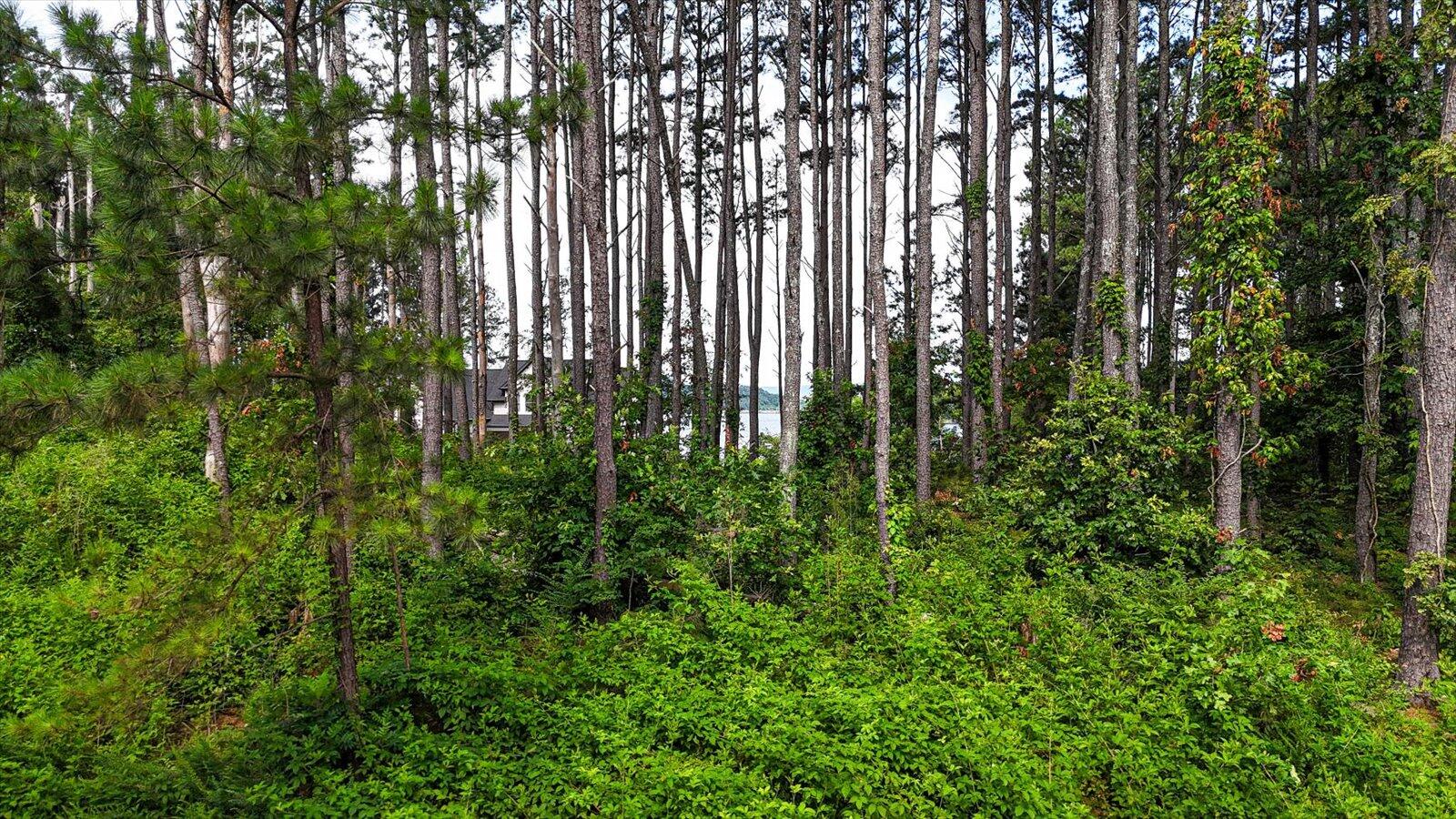 Castaway Lane #82,83.84, Jasper, Tennessee image 8
