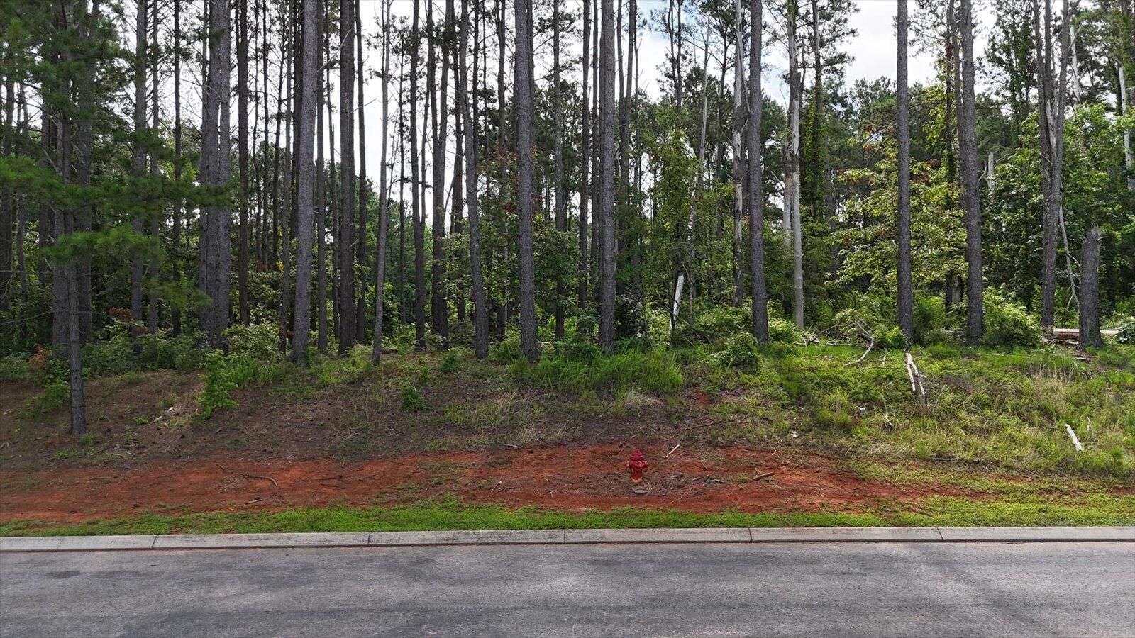 Castaway Lane #82,83.84, Jasper, Tennessee image 12