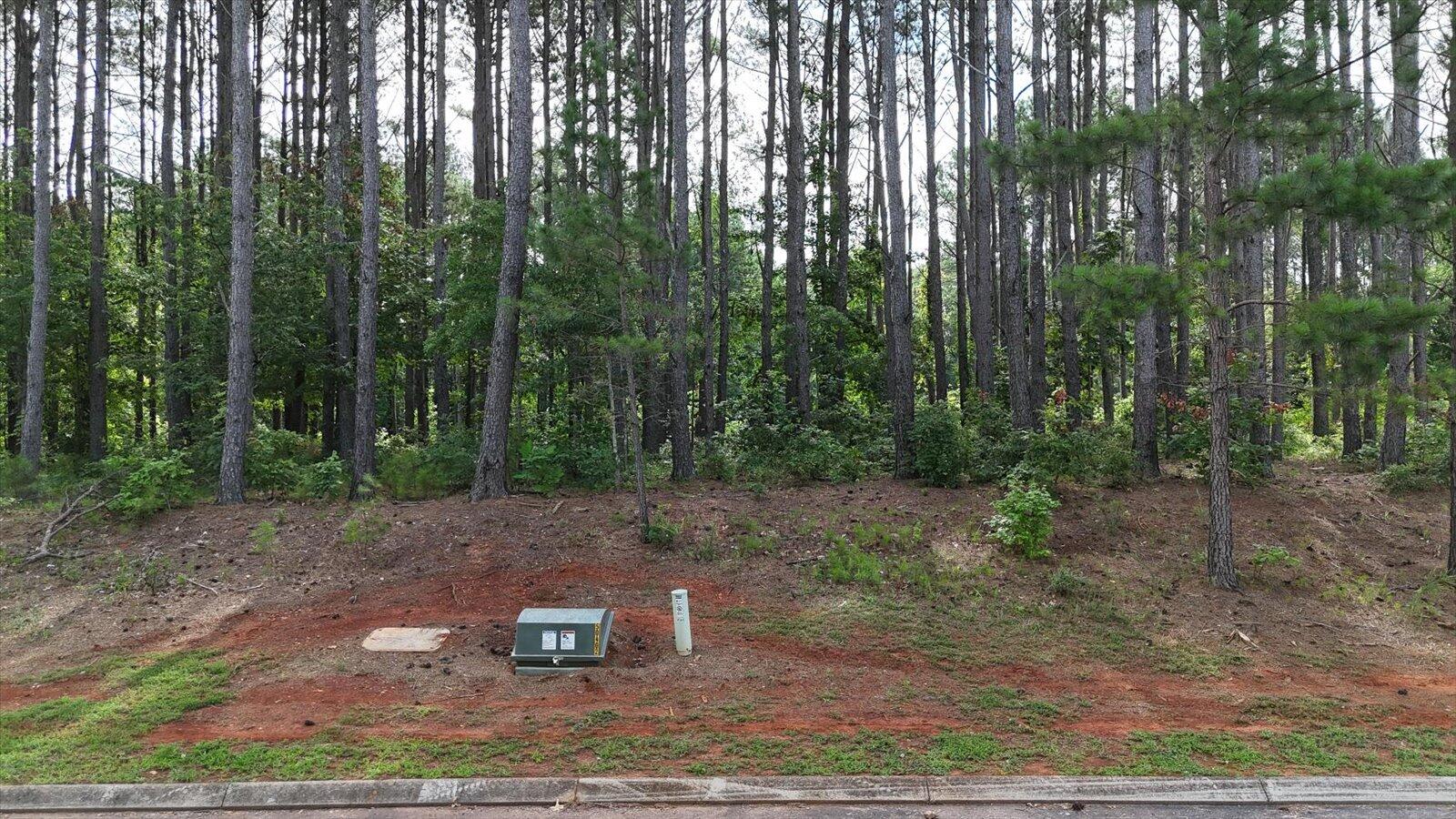 Castaway Lane #82,83.84, Jasper, Tennessee image 16