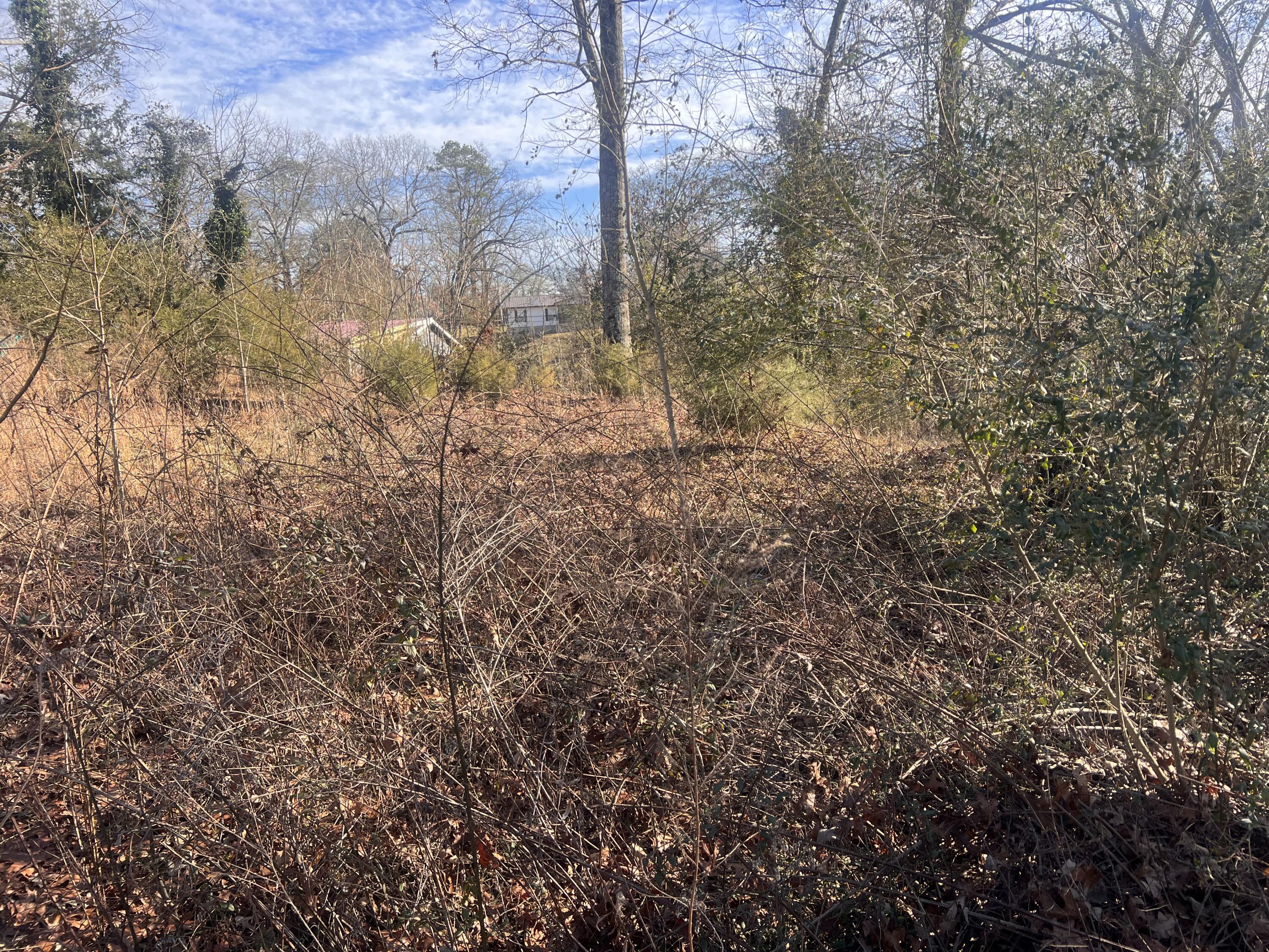 S Ehrich Avenue, Bridgeport, Alabama image 2