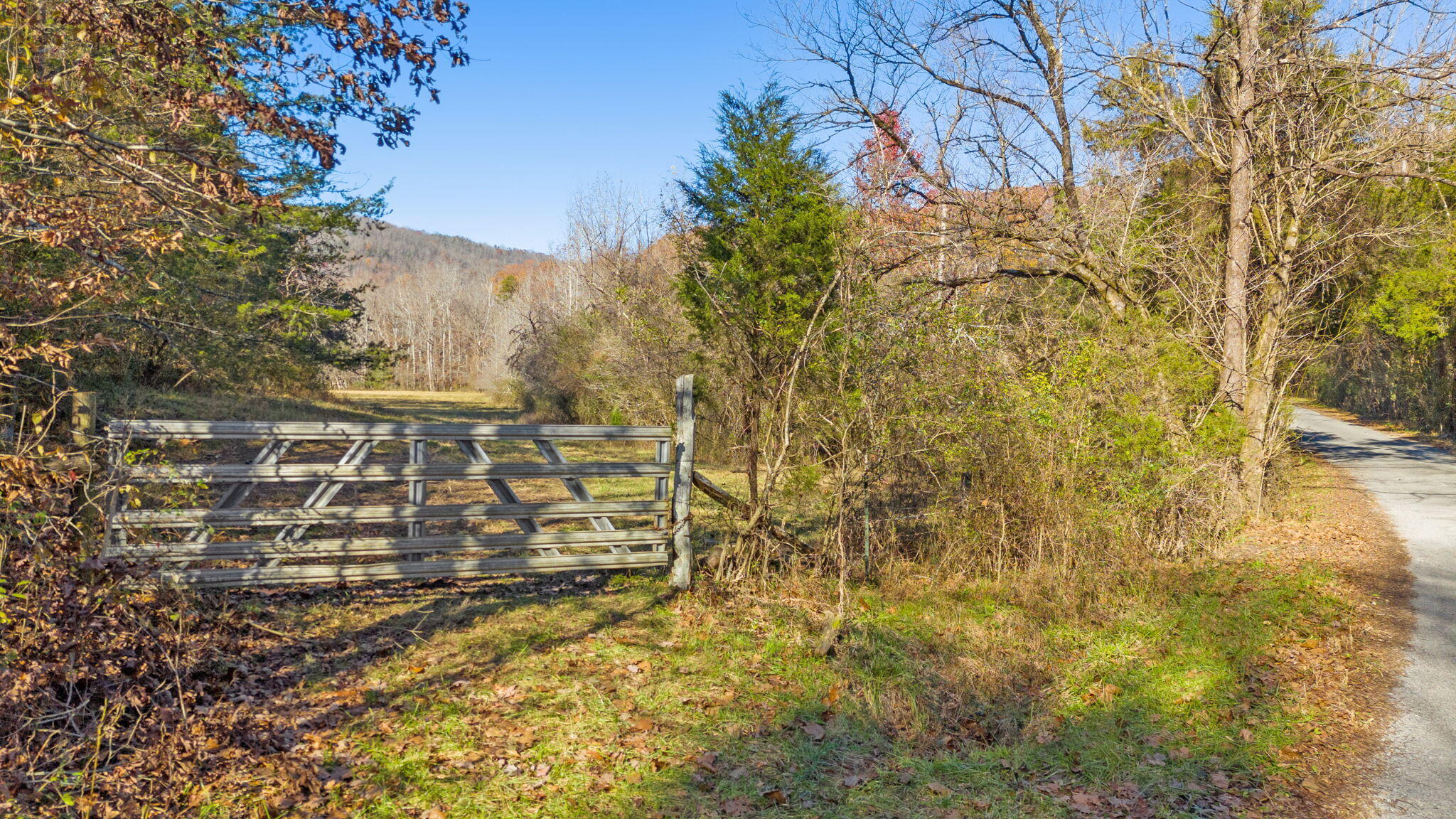 Twin Oaks Road, Spring City, Tennessee image 37