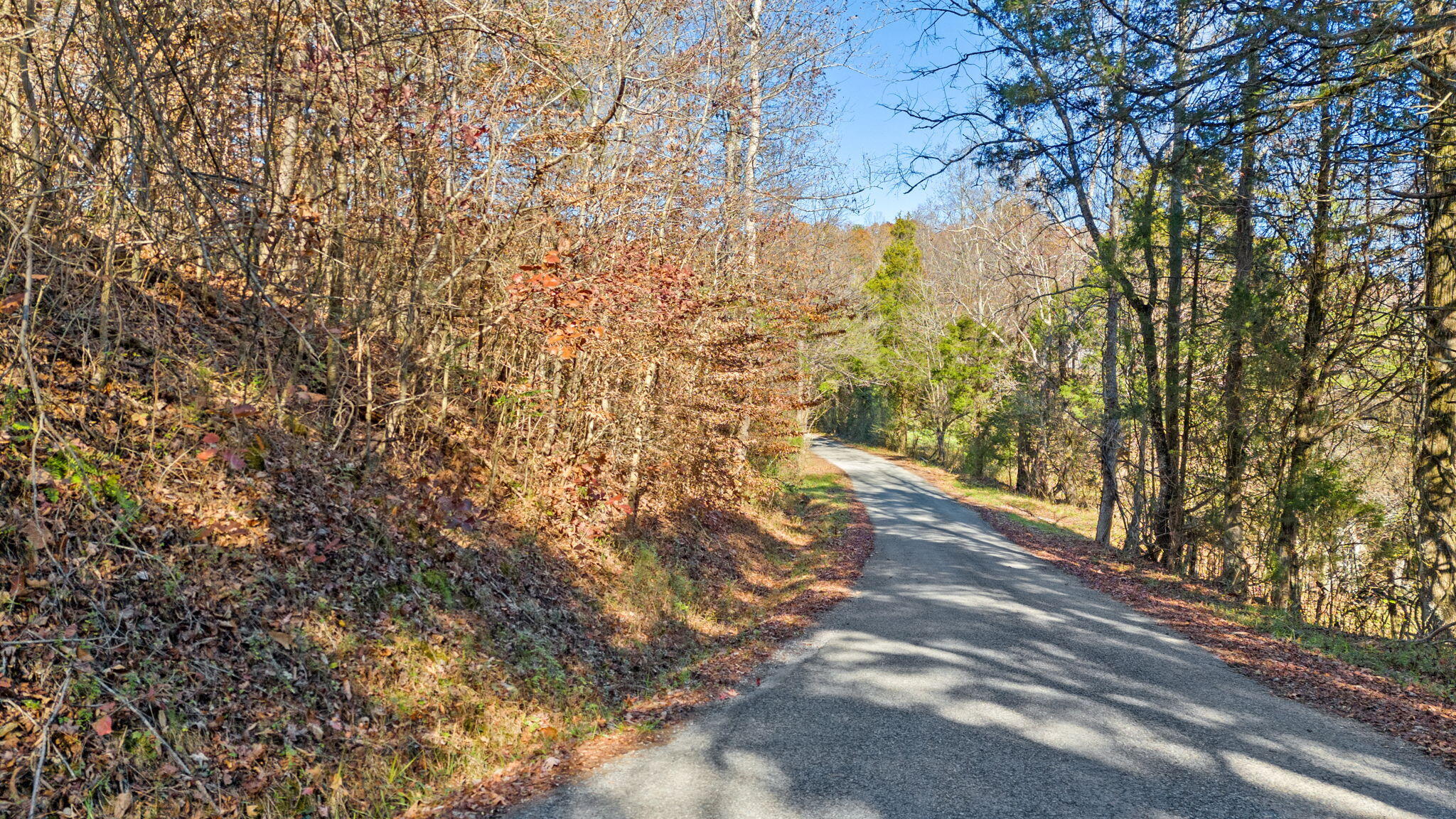 Twin Oaks Road, Spring City, Tennessee image 36